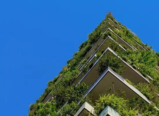 immeuble-vert
