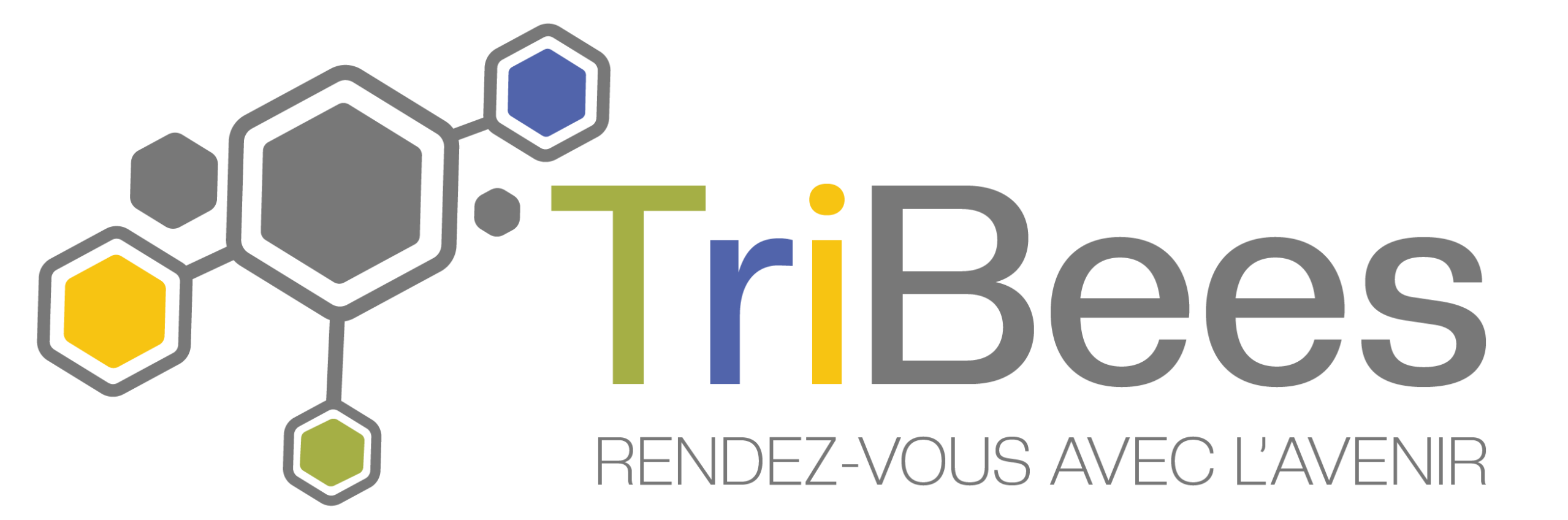 Tribees, le collectif des formateurs engagés